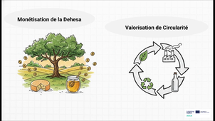 3.4.2 CASO PRATIQUE_ Aliments d'Extrémadur - FR v.mp4