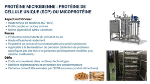 3.6.3 PROTÉINE ALTERNATIVE_Bloc 1.mp4