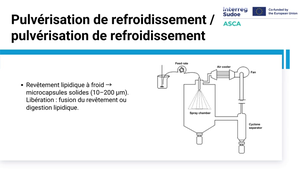 2.4.2 Encapsulation des substances bioactives.mp4