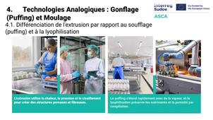 2.6.1 Technologies d 'extrusion.mp4