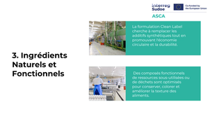 2.2.1 Biotechnologies, Conservation Naturelle et Formulation Propre.mp4