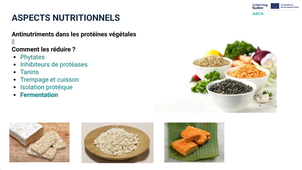 3.6.4 PROTEINE ALTERNATIVE_Bloc 2.mp4